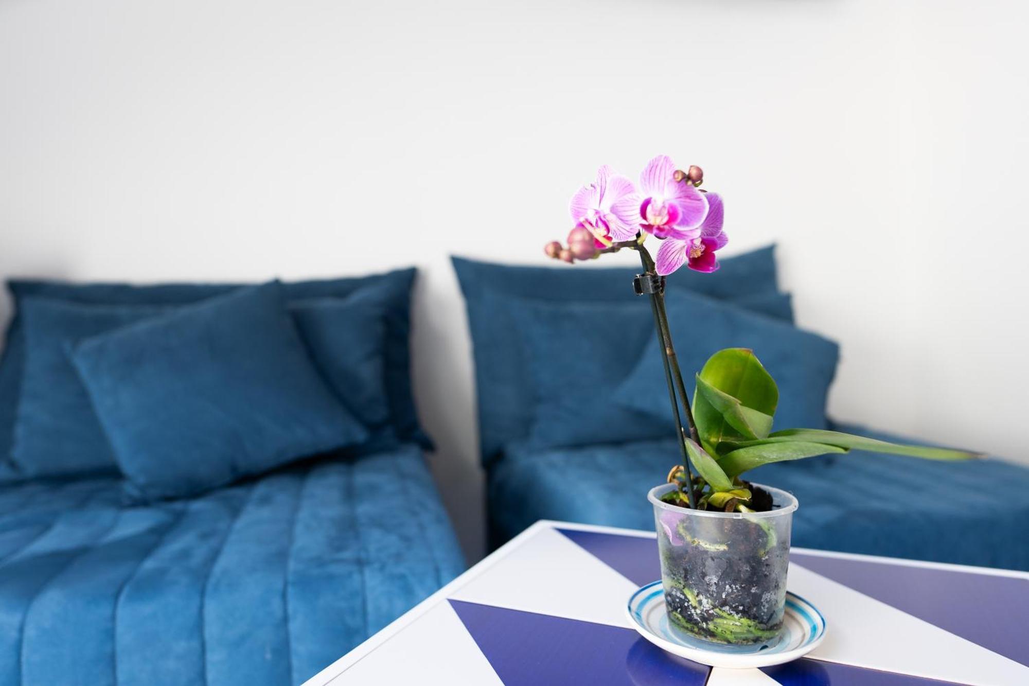Annalara charme&relax Hotell Amalfi Exteriör bild
